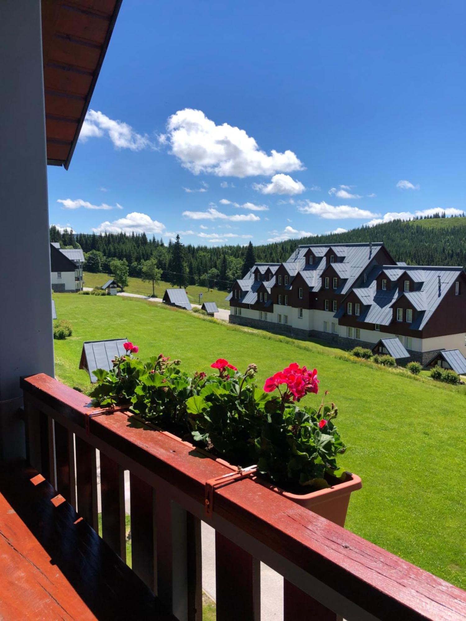 Apartman Horni Misecky F11 - Horsky Svet Luaran gambar